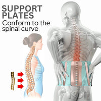 Thumbnail for Lumbosacral steel supports are shaped to follow the human spine and intervertebral disc structure