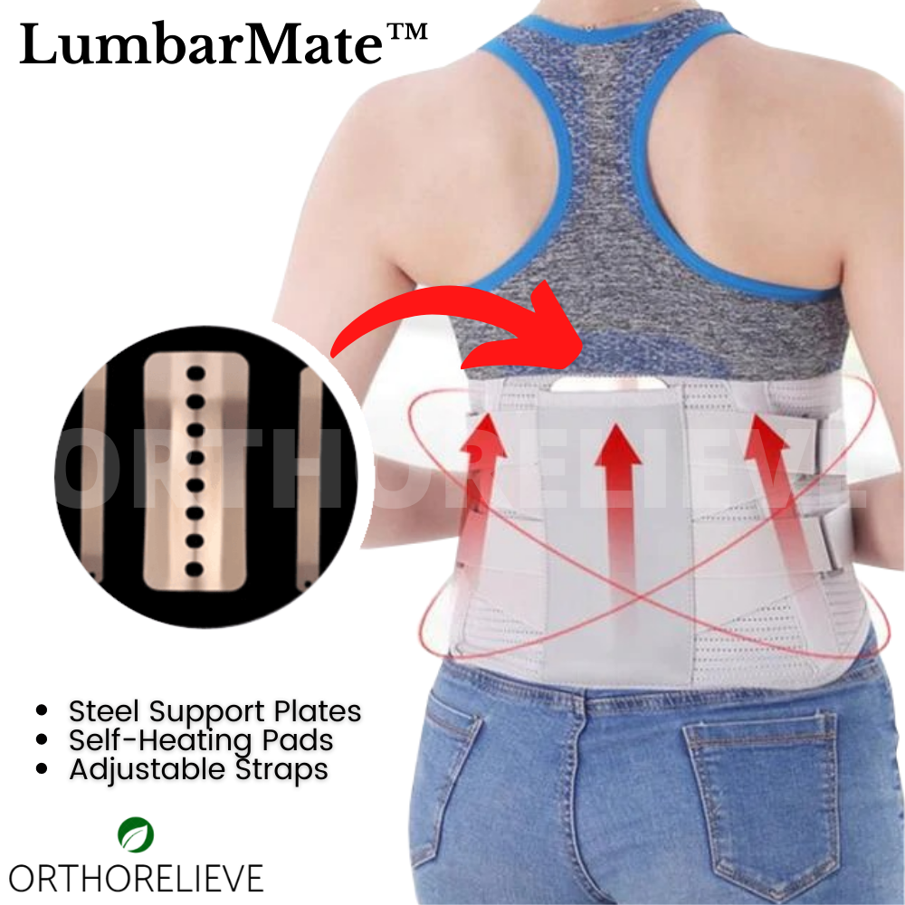 lumbar support back brace for lower back pain