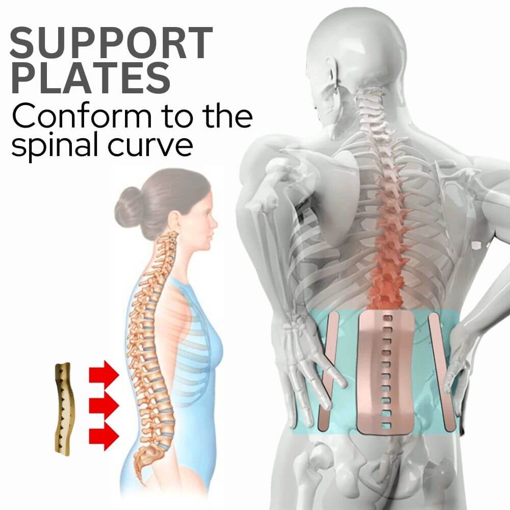 What is lumbar support and what different types of lumbar supports are  there?