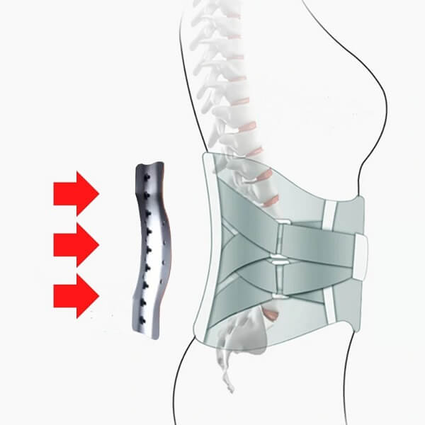 The steel plate shape follows the curvature of the lumbar spine, giving a comfortable yet firm support